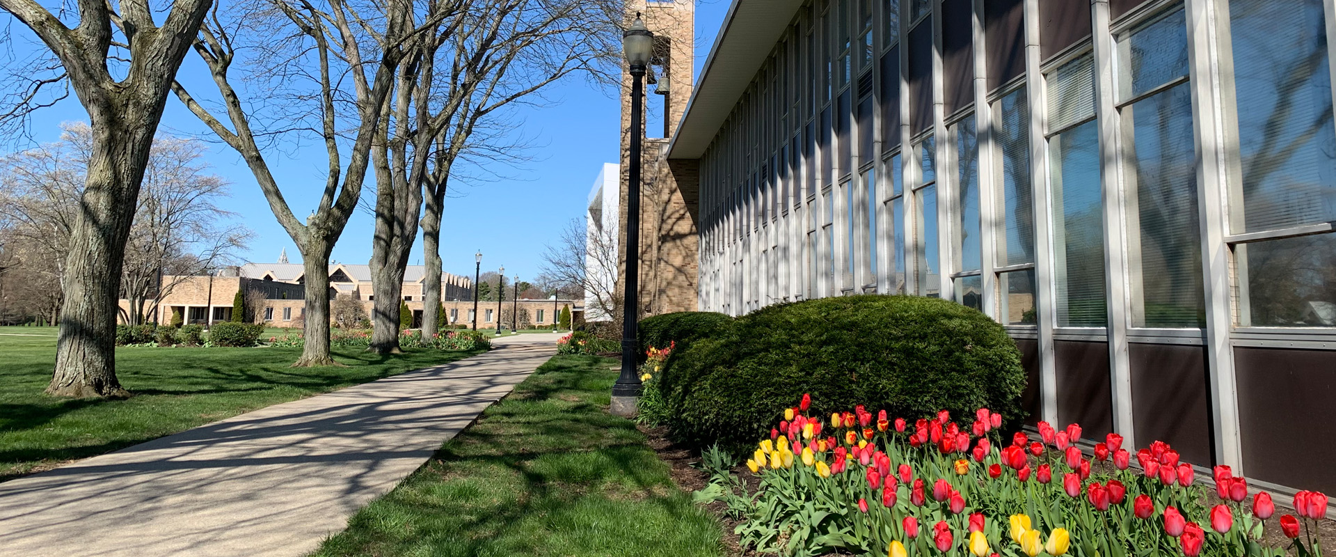 photo of Farrell Hall on the Walsh campus with tulips in bloom