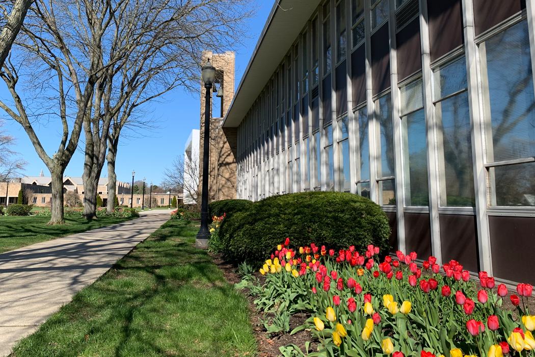 photo of Farrell Hall on the Walsh campus with tulips blossoming