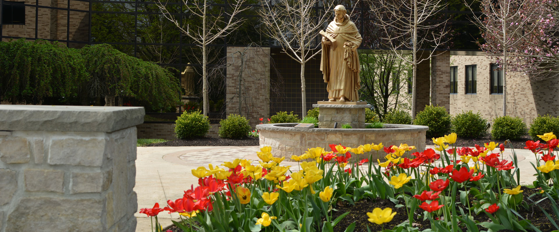 An image of campus, with views of the Timken Science Center with tulips in the foreground.