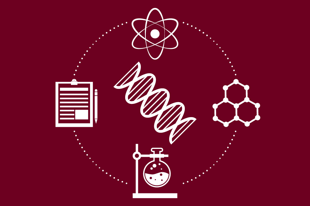 web graphic for Center for Scientific Excellence