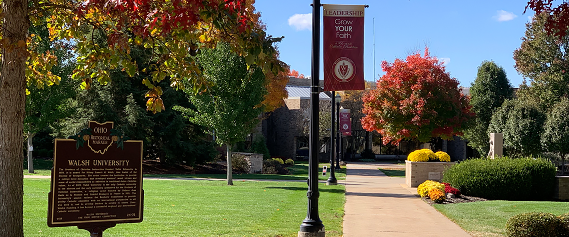 photo of Walsh University campus in the fall