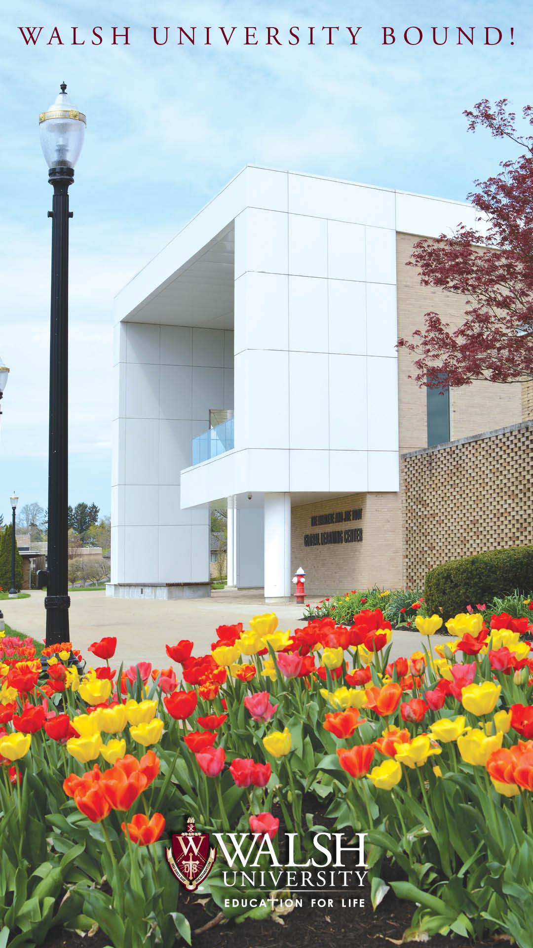 Walsh GLC and Tulips Phone Background