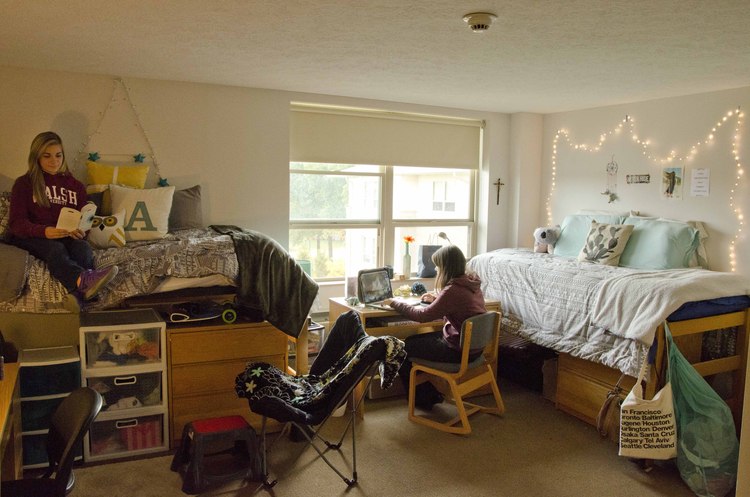 two students studying in an Olivieri Double room
