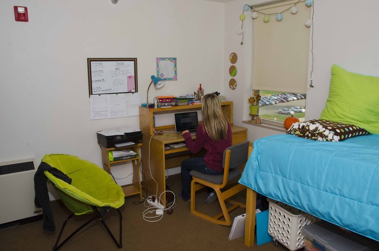 student studying in a Wilkof Single Room